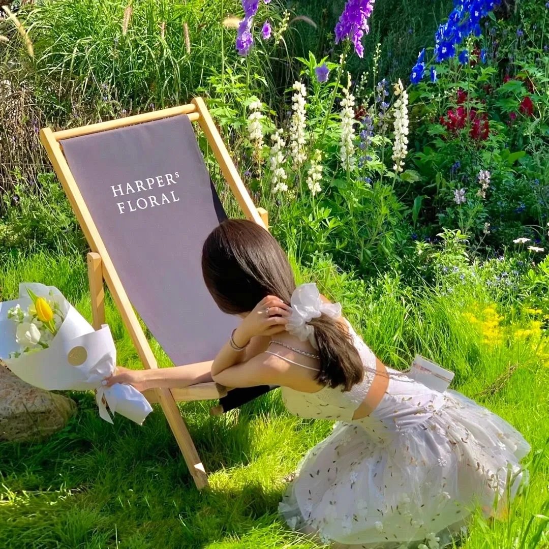 自有云霄万里高